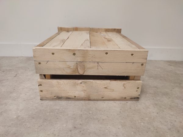 Nids à chauve-souris